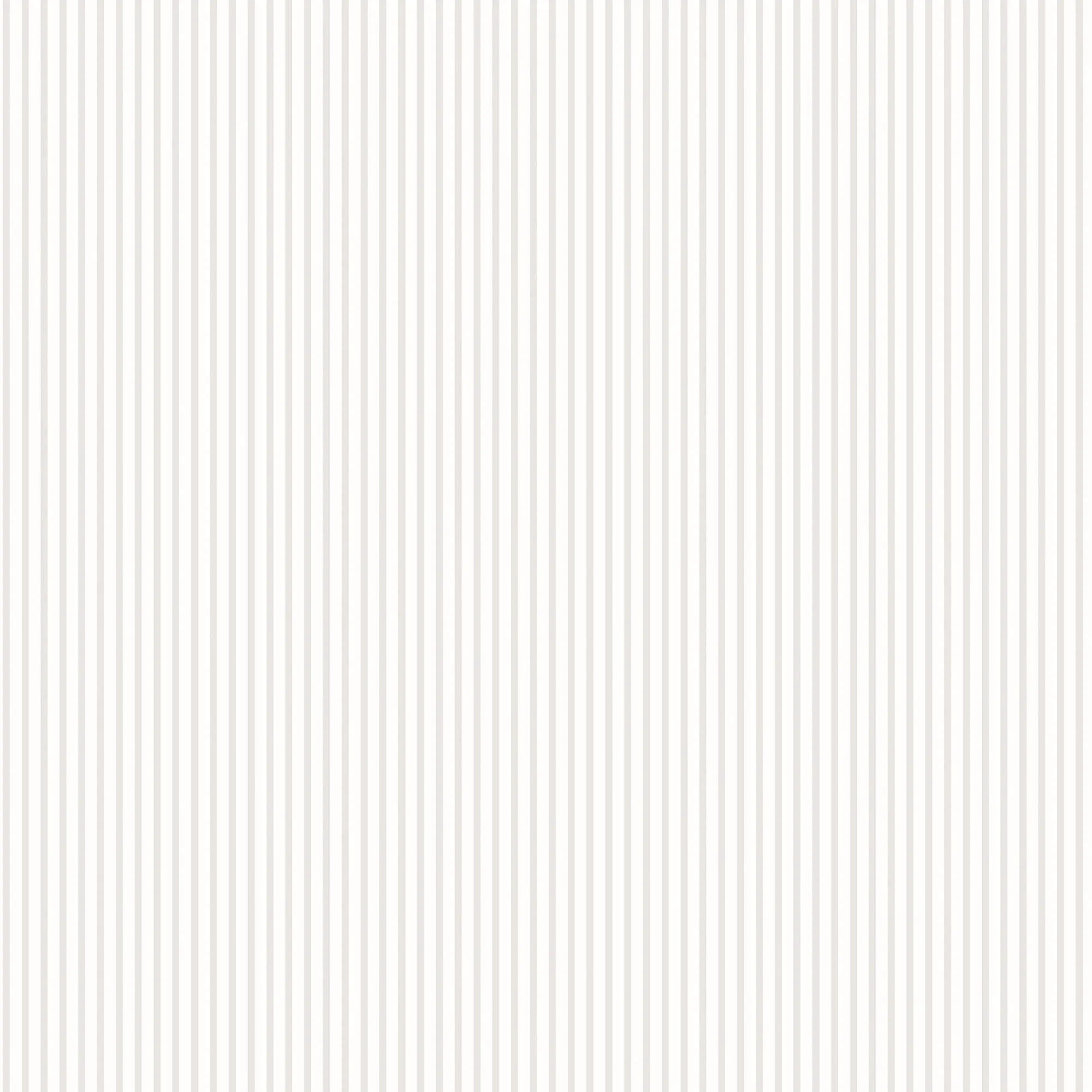 Candy Stripe Grey Wallpaper from the Small Prints Collection