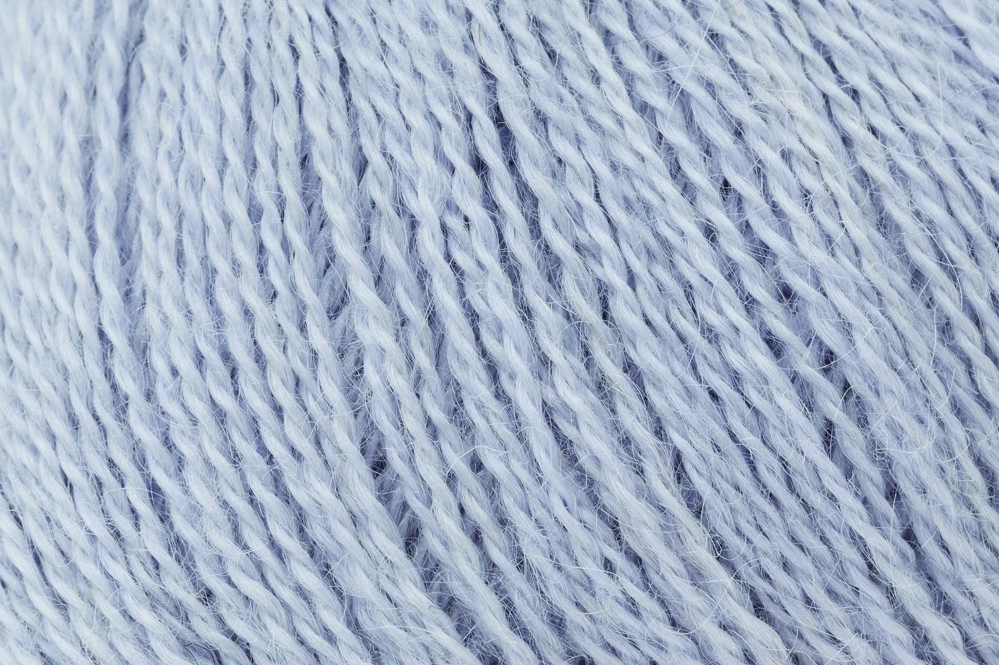 Cobweb-922