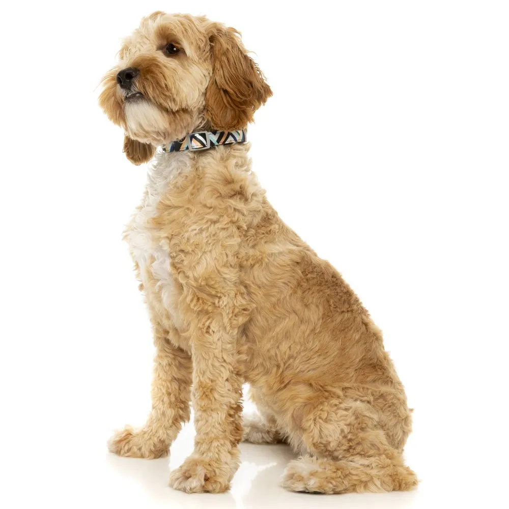 FuzzYard Dog Collar (Sonic)