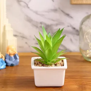 Refined Succulents Artificial Plant with Ceramic Pot | 6 inches