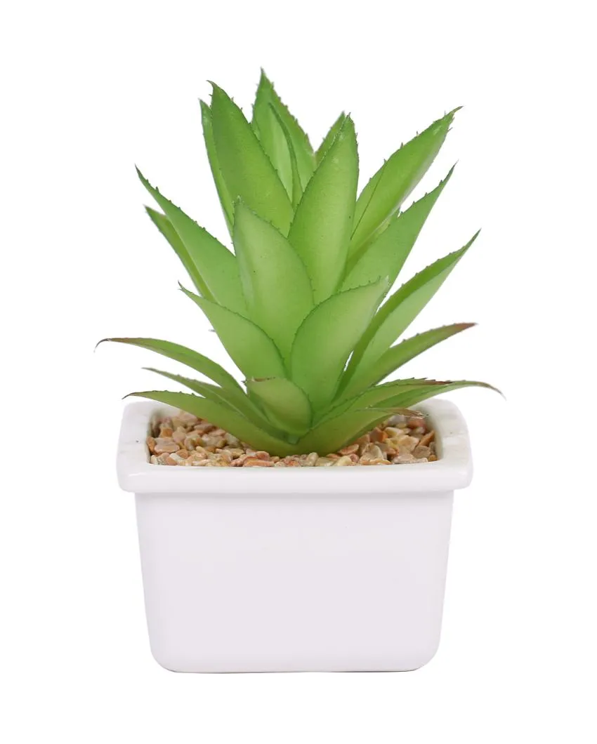 Refined Succulents Artificial Plant with Ceramic Pot | 6 inches